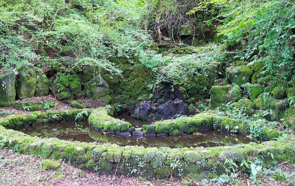 제주도 겨울 트레킹 명소 BEST 5&amp;#44; 한라산&middot;절물&middot;사려니&middot;비자림&middot;용머리해안 코스 정리