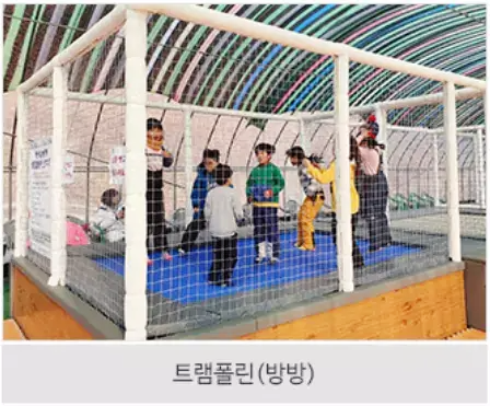 알프스마을 칠갑산 얼음분수축제
