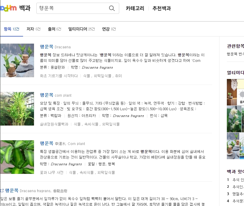 행운목 기르기 목차 상세 정보