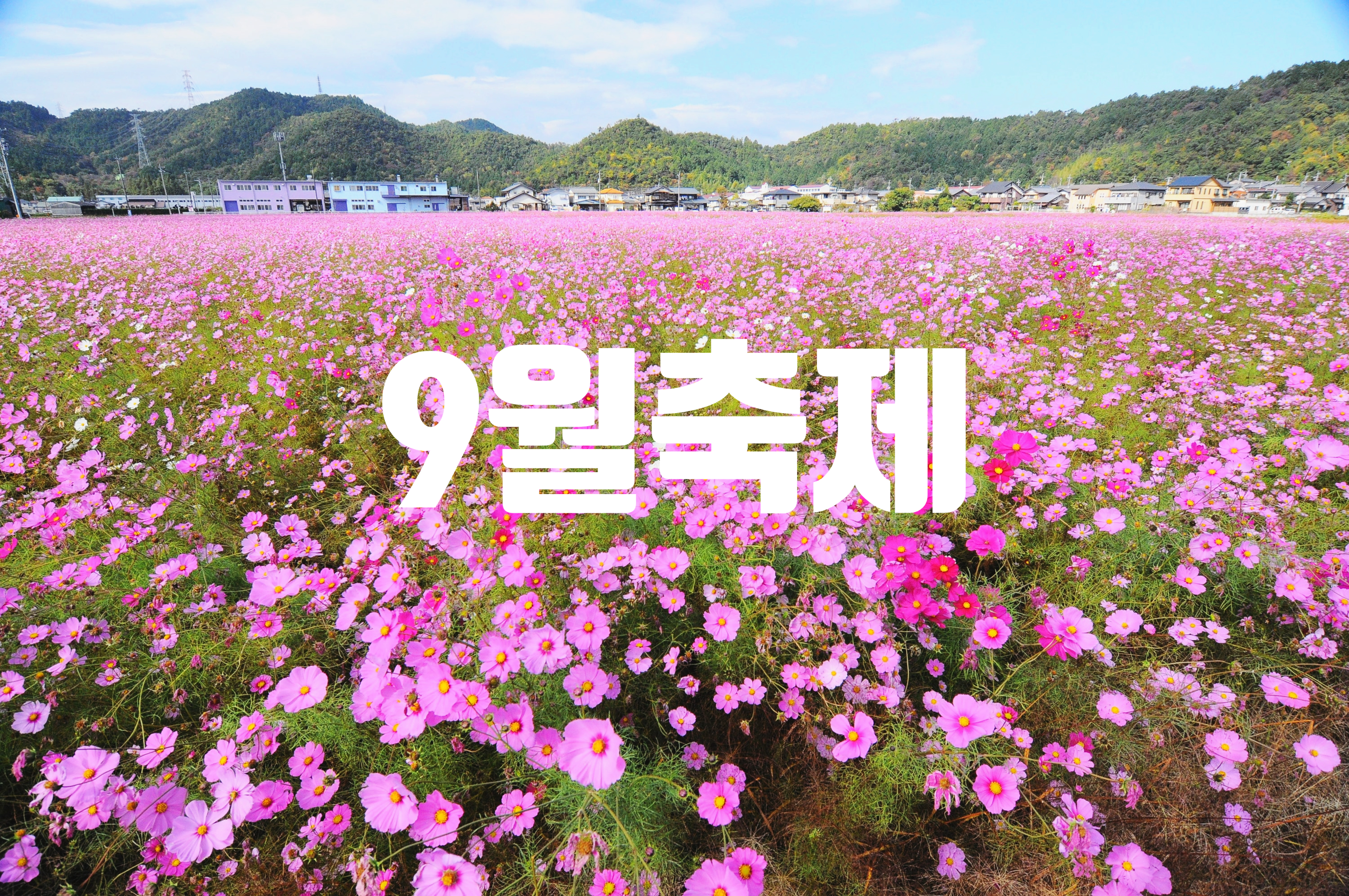 9월축제
