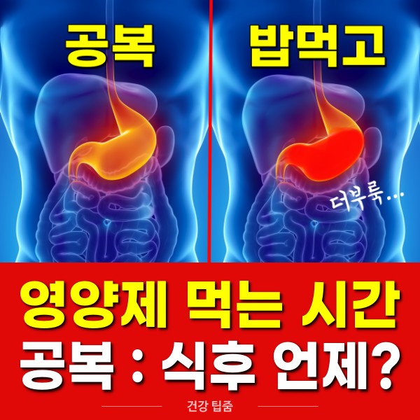 영양제 먹는 시간 복용시간,팁줌 매일꿀정보