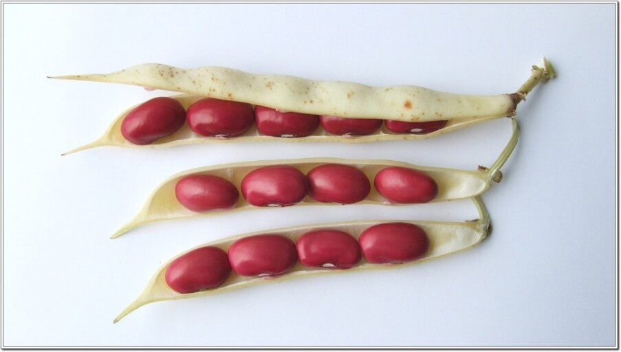 혈압 정상수치,범위를 알아보고 낮추는방법