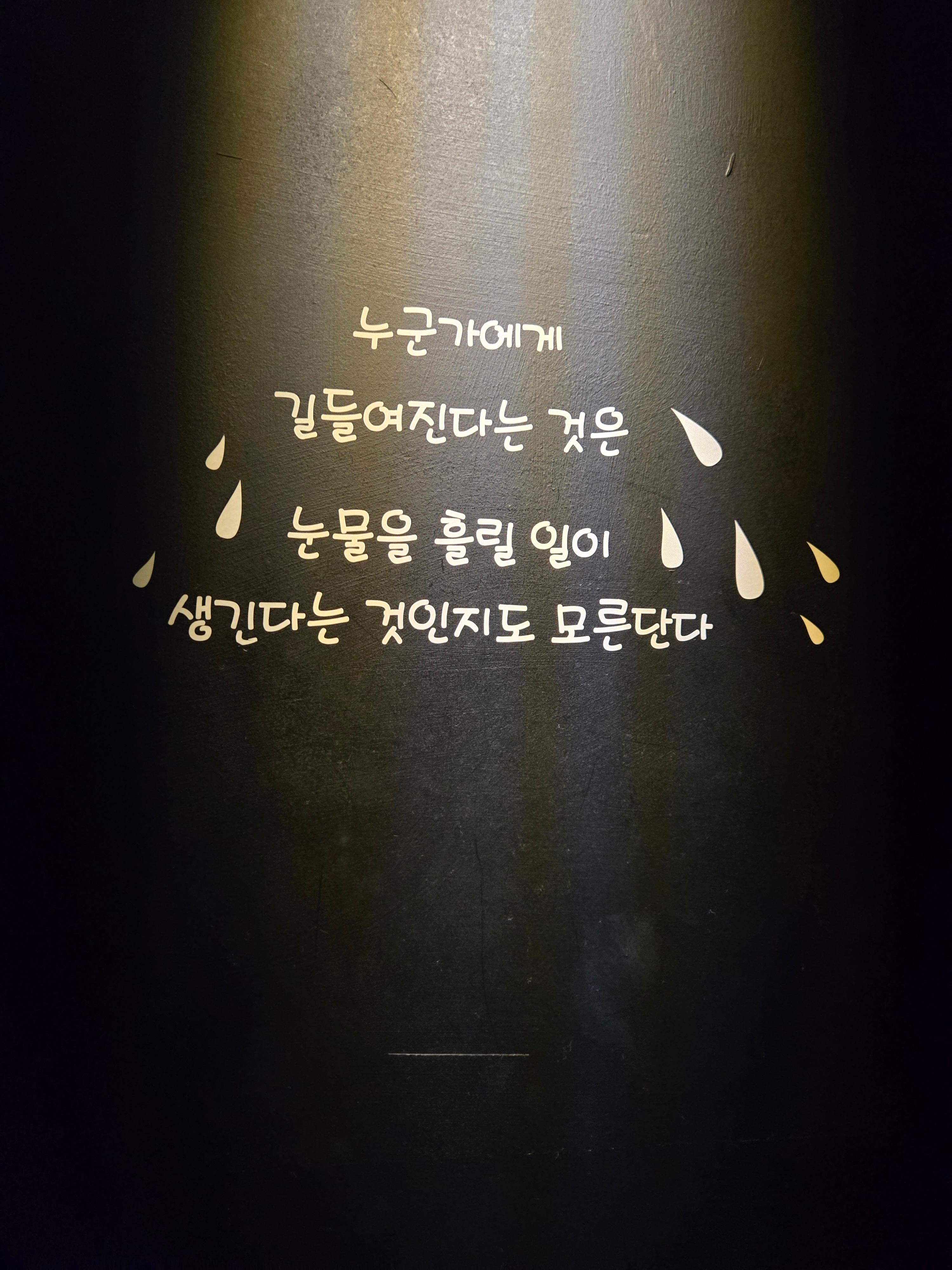 여수 녹테마레 미디어아트 내부 관람