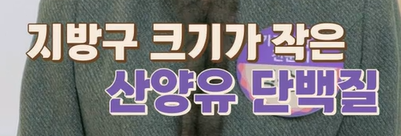 산양유 단백질 효능