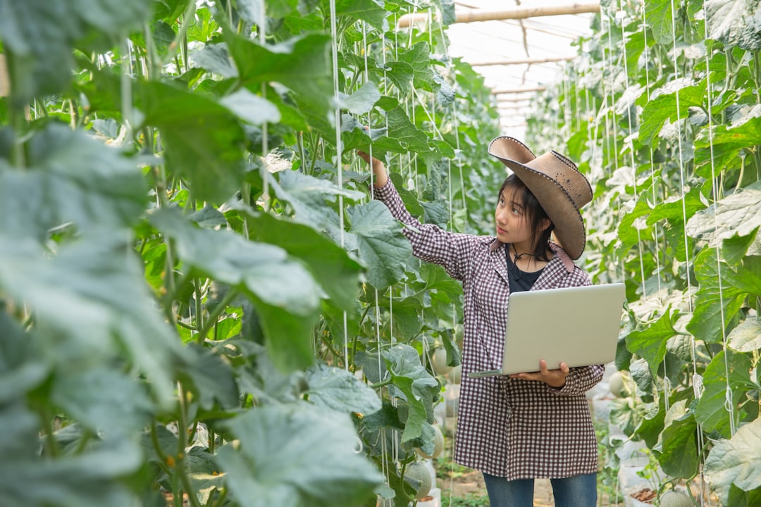 Agricultural certification