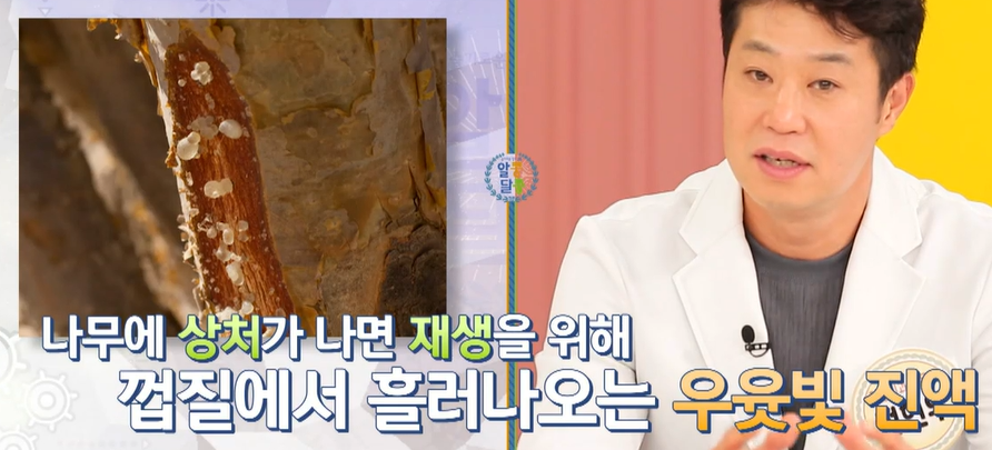 보스웰리아