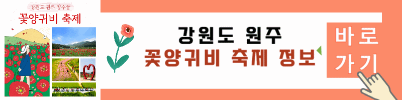 원주 꽃양귀비 축제