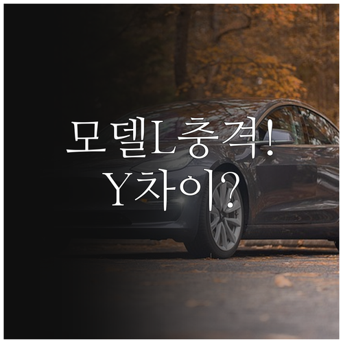 테슬라 모델 L 신형 공간과 성능 기..