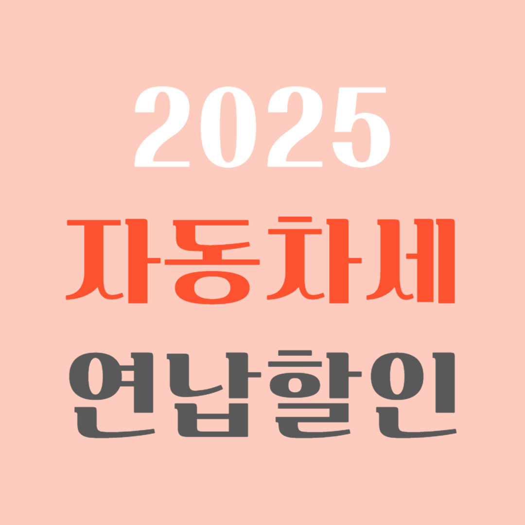 2025 자동차세 연납신청