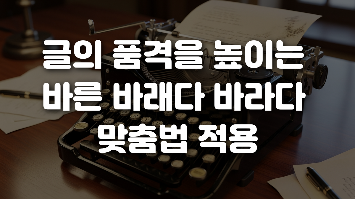 글의 품격을 높이는 바른 바래다 바라다 맞춤법 적용