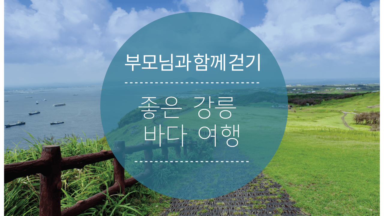 부모님과 함께 걷기 좋은 강릉 바다 여행