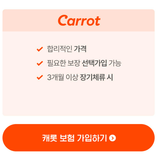 캐롯여행자보험