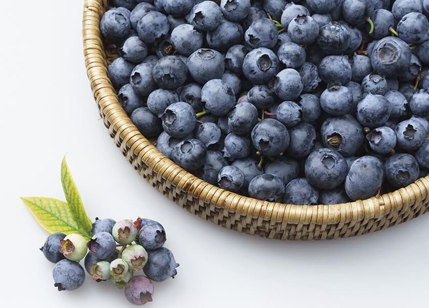 생생정보 2314회 수확의 달인 고성 블루베리 산들블루베리 주문방법