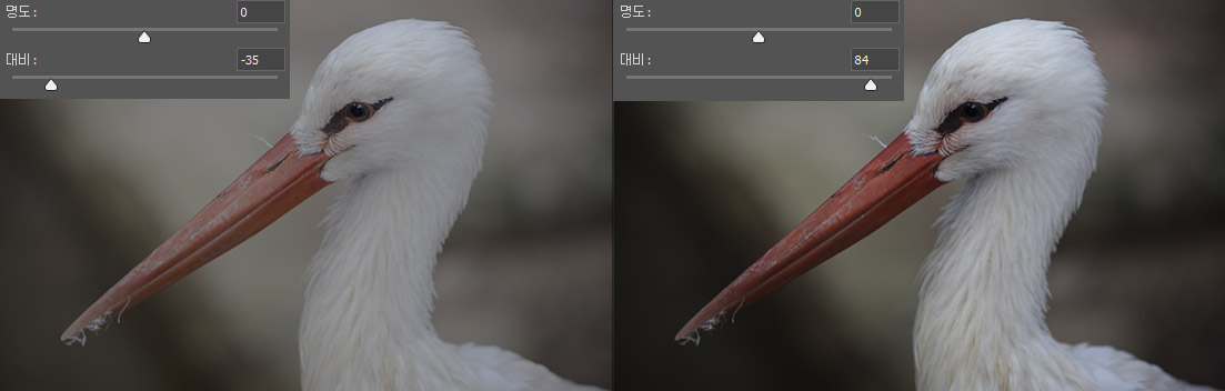 대비 슬라이더를 조절한 예시