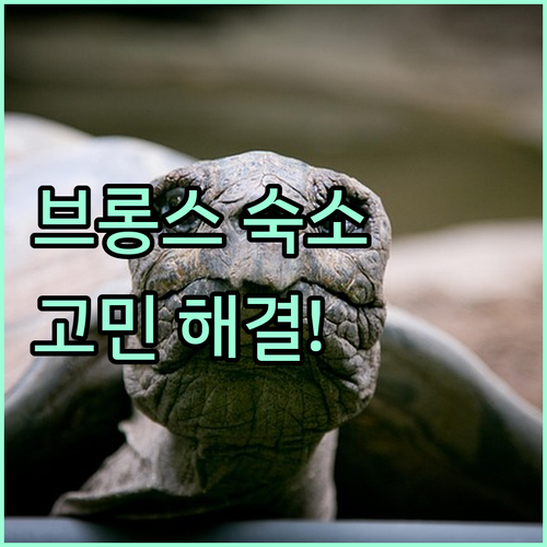 브롱스 여행 숙소 고민 해결 주요 호