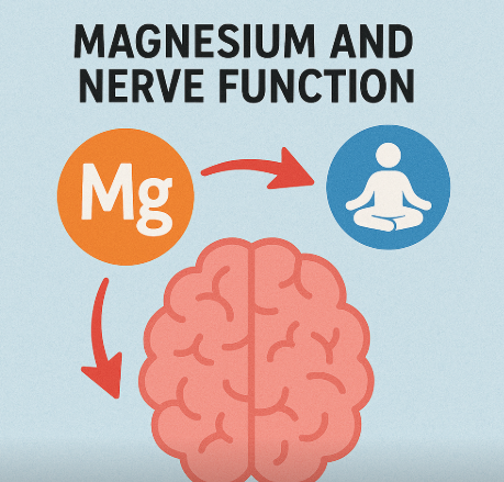 마그네슘이 신경안정에 효과적이라는 것을 표현