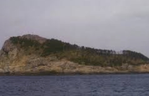 추자도 배시간표