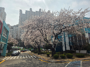 나만의 강점 키워드 추출하기