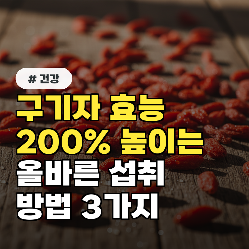 구기자 효능 200% 높이는 올바른 섭취 방법 3가지
