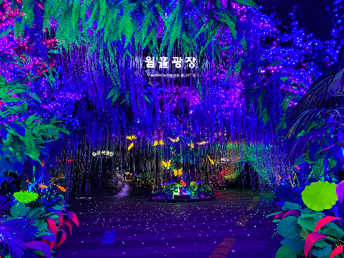 광명동굴의 조명으로 수놓은 웜홀 광장 입구 모습