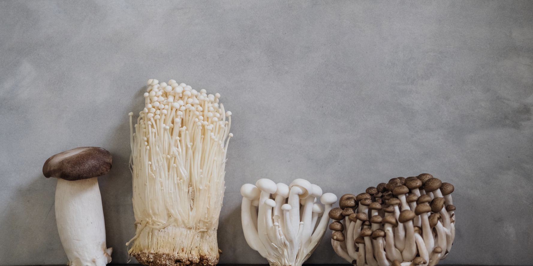 버섯 종류별 다이어트 효과 비교