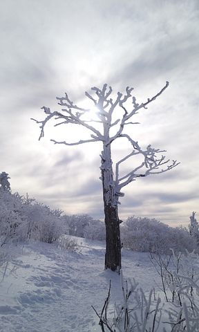 갑자일주