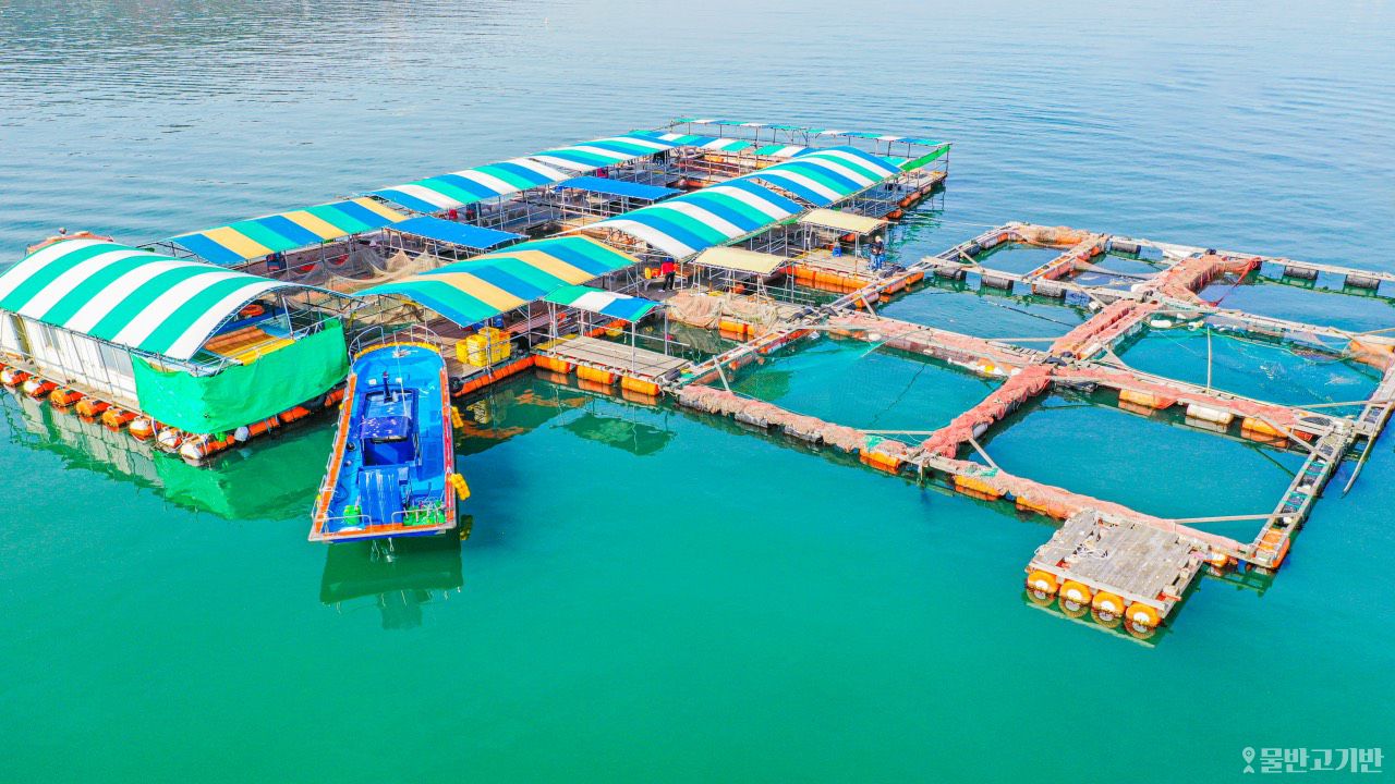 바다좌대낚시터