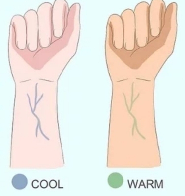 퍼스널컬러-자가진단