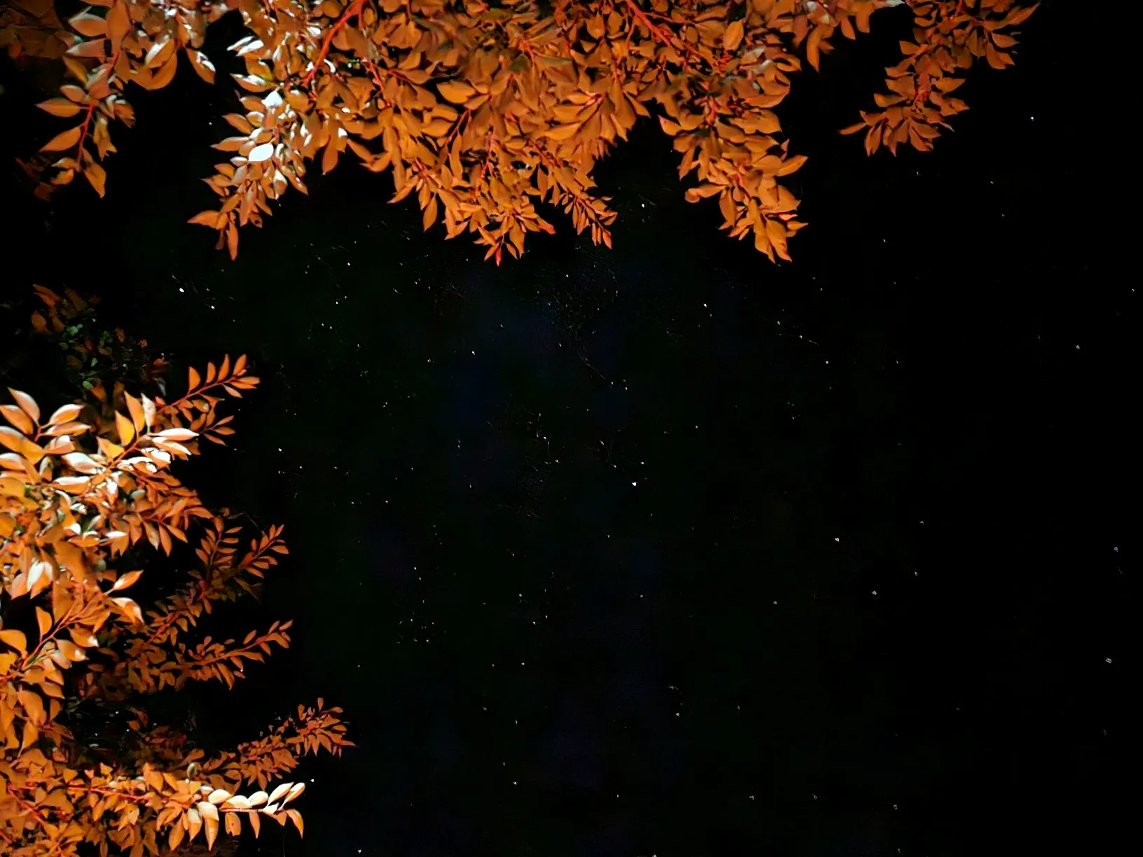 밤하늘 별 사진