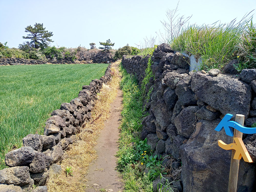 올레길 20코스: 김녕서포구에서 제주해녀박물관까지