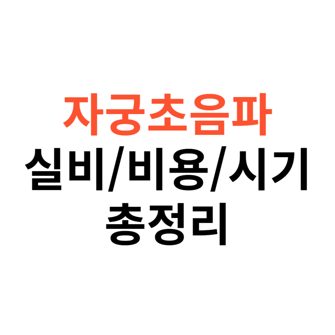 자궁초음파 실비