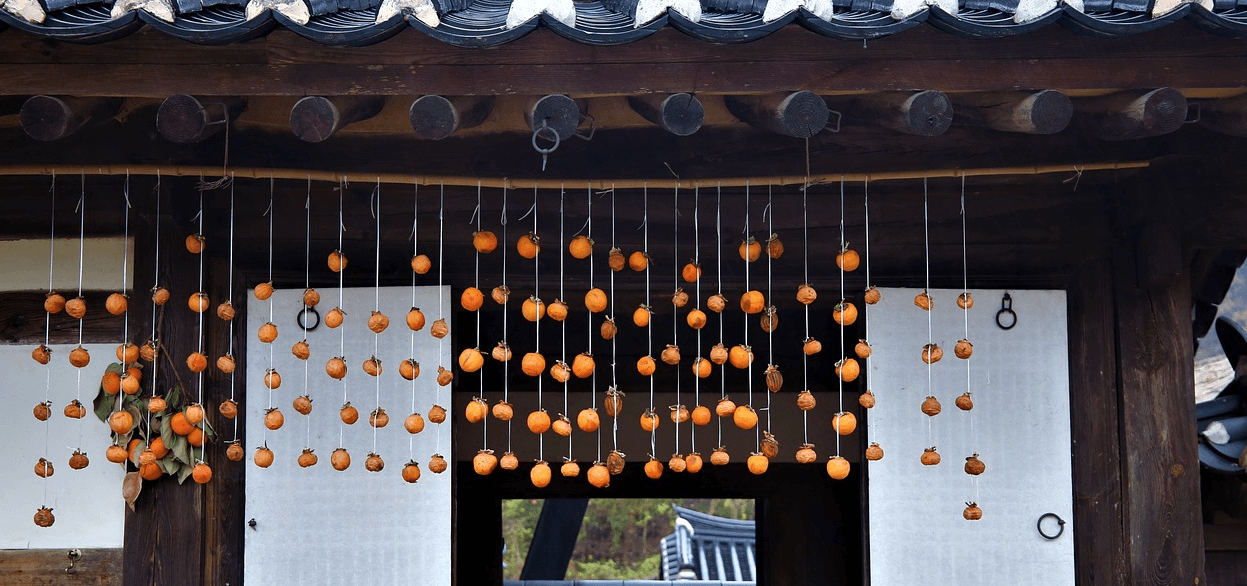 곶감과 감의 사진 - 1