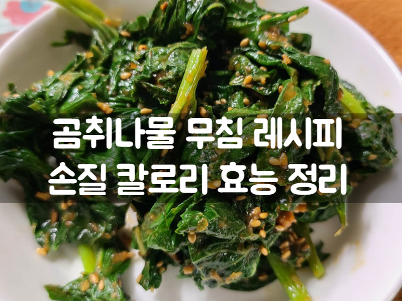 곰취나물 무침 레시피 곰취 손질 효능 칼로리 장녹나물 정리