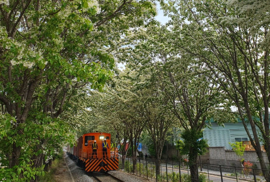 전주 팔복동 철길
