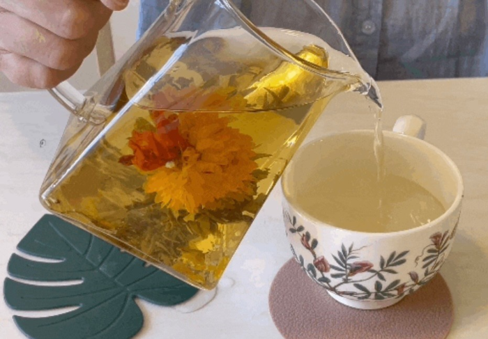 봉봉농원 묘목카페 생방송 오늘 저녁