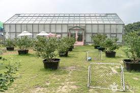 용인 가볼만한곳 - 포레스트벨