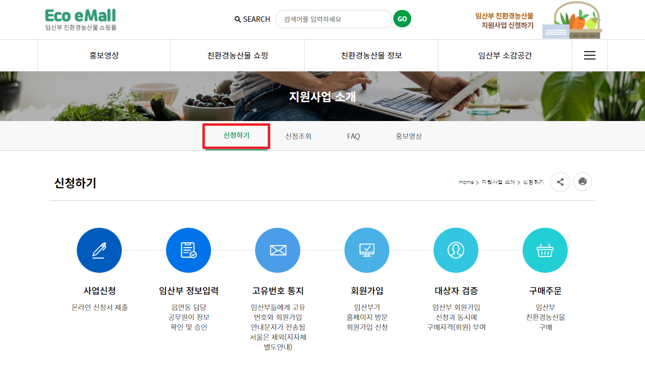 임산부 친환경농산물꾸러미