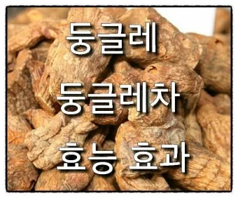 둥글레차 효과 건강에 좋은 차 효능 정리_3