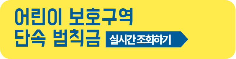 어린이 보호구역 범칙금