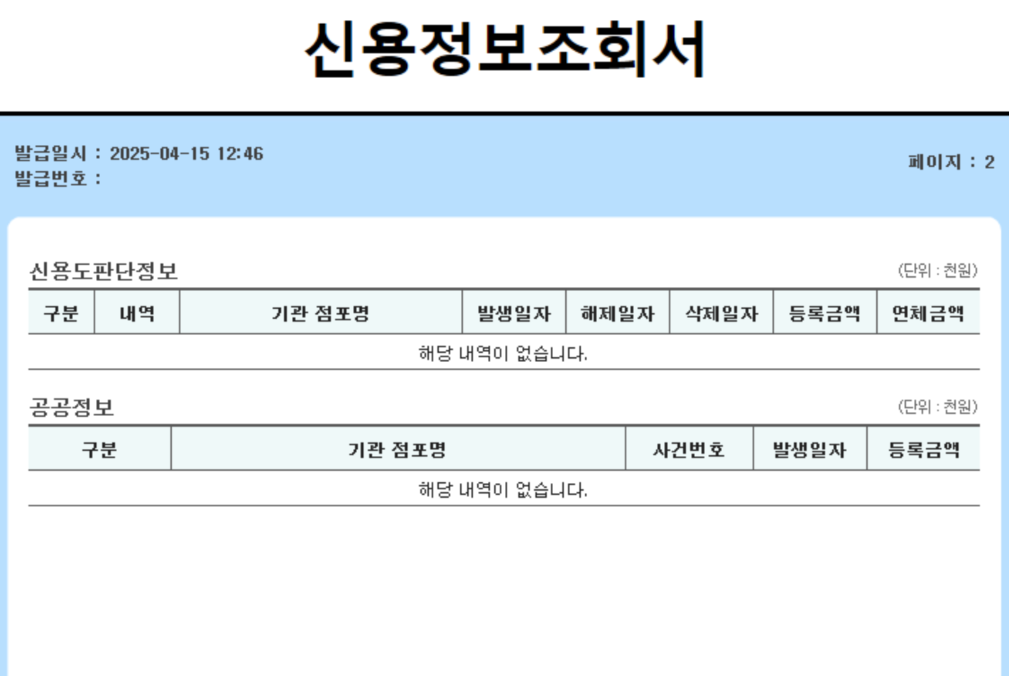 신용정보조회서 2