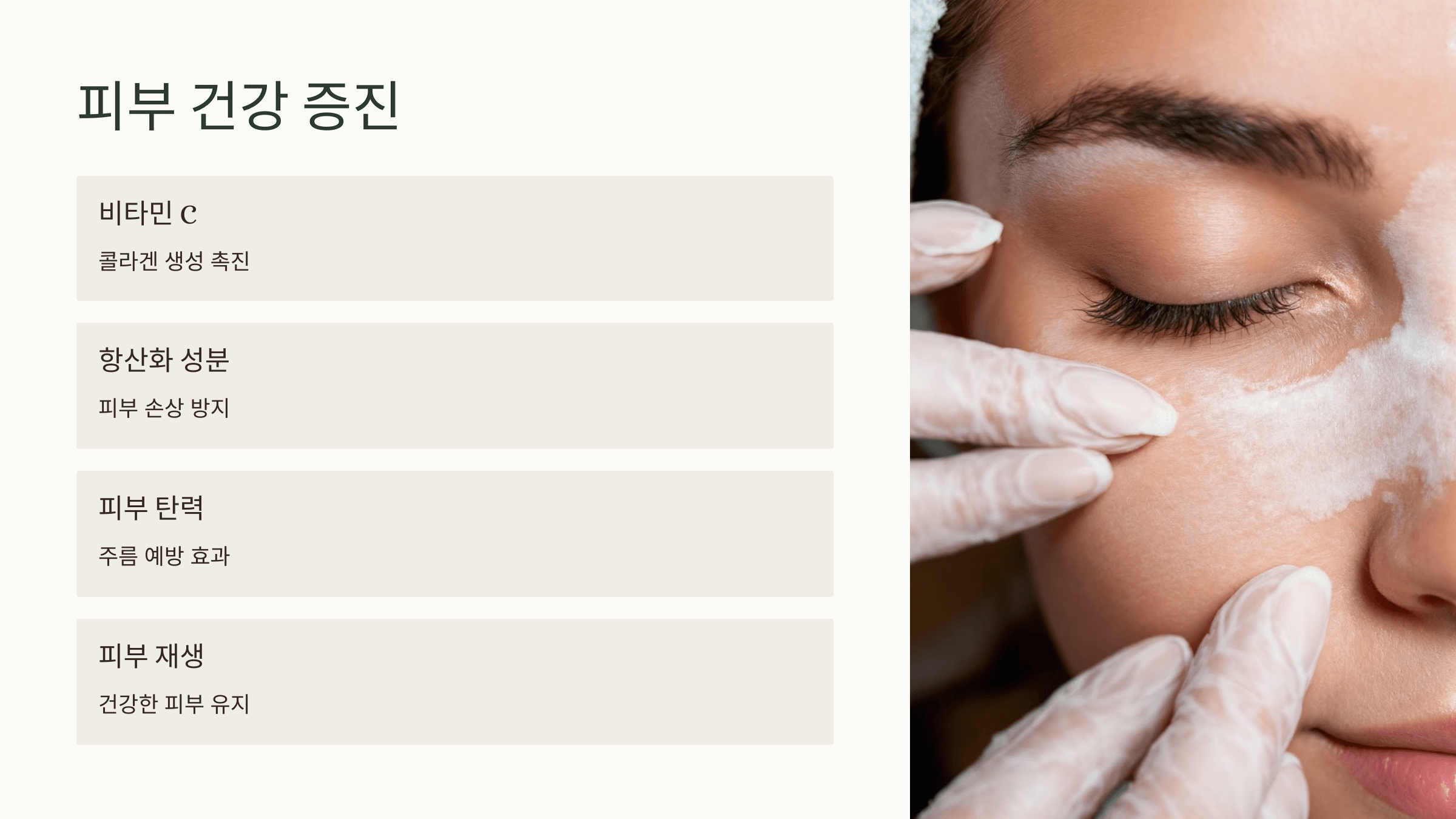 양배추 사진입니다.