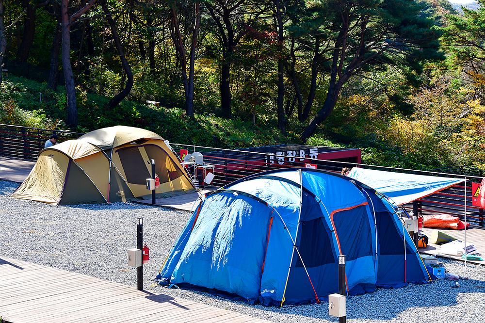 경상남도 밀양시 도래재별빛마을캠핑장