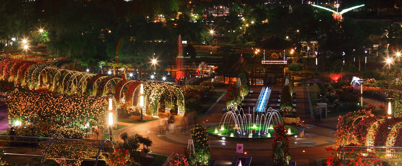 곡성세계장미축제 2025