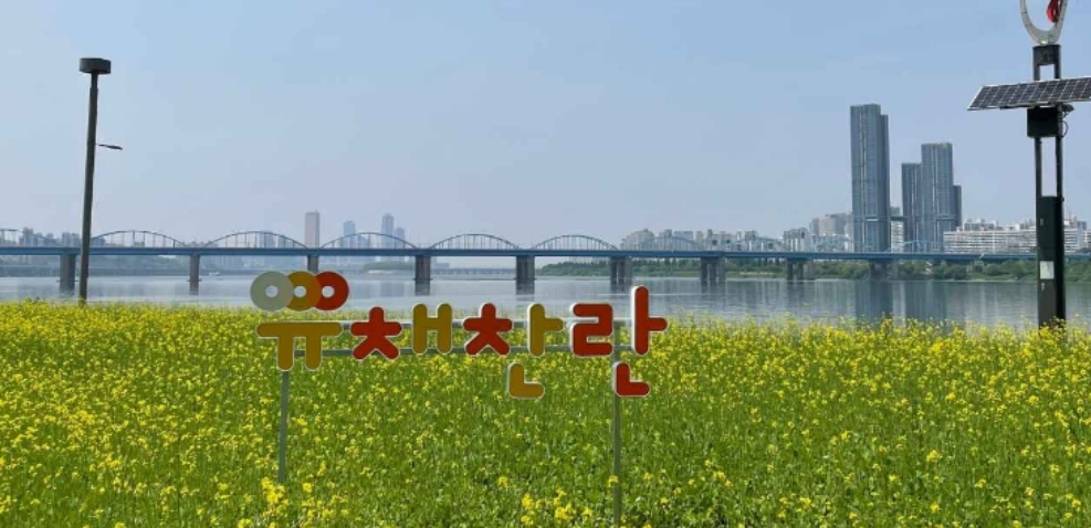 2024년 한강서래섬