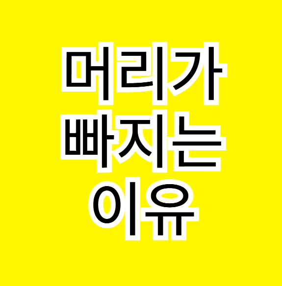 머리가 빠지는 이유