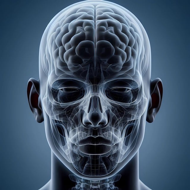 AI 건강진단 원리, 알고리즘이 의사를 서포트 하는 법