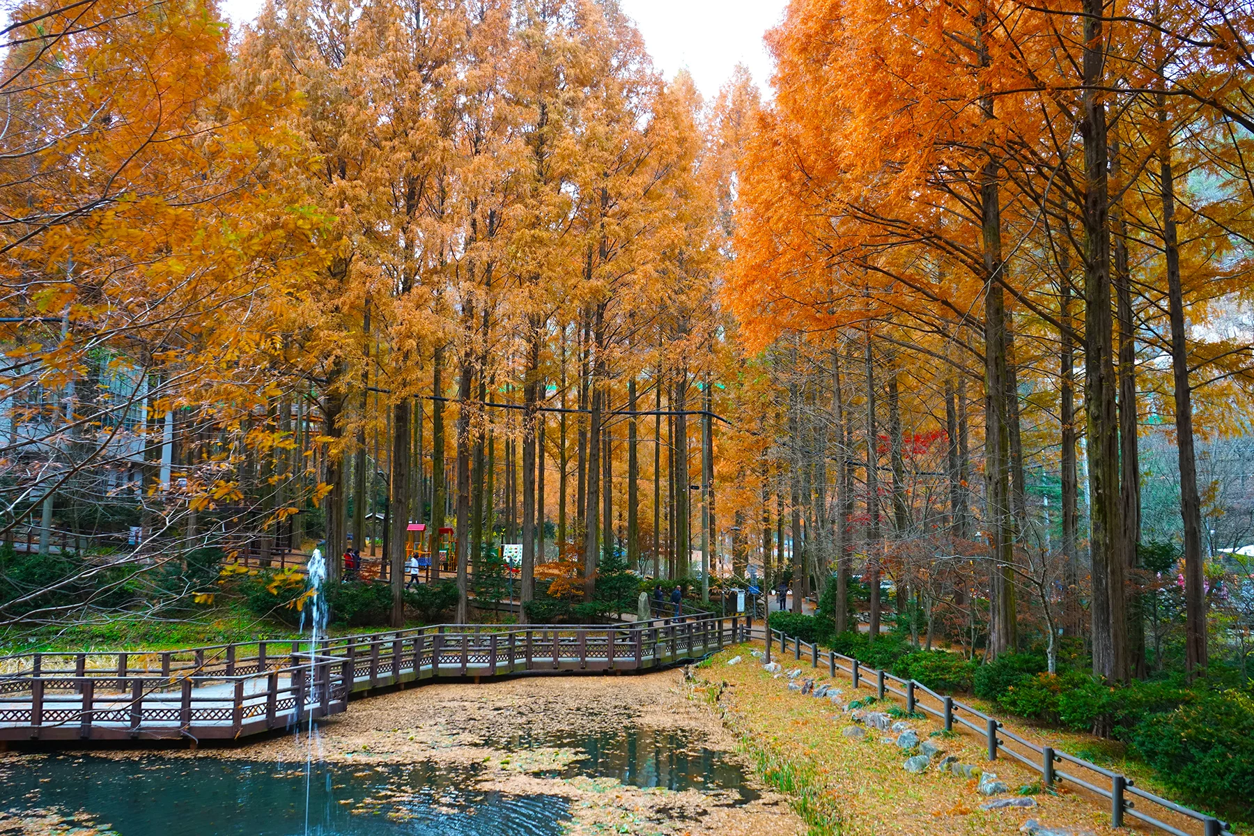 장태산 자연휴양림 예약 