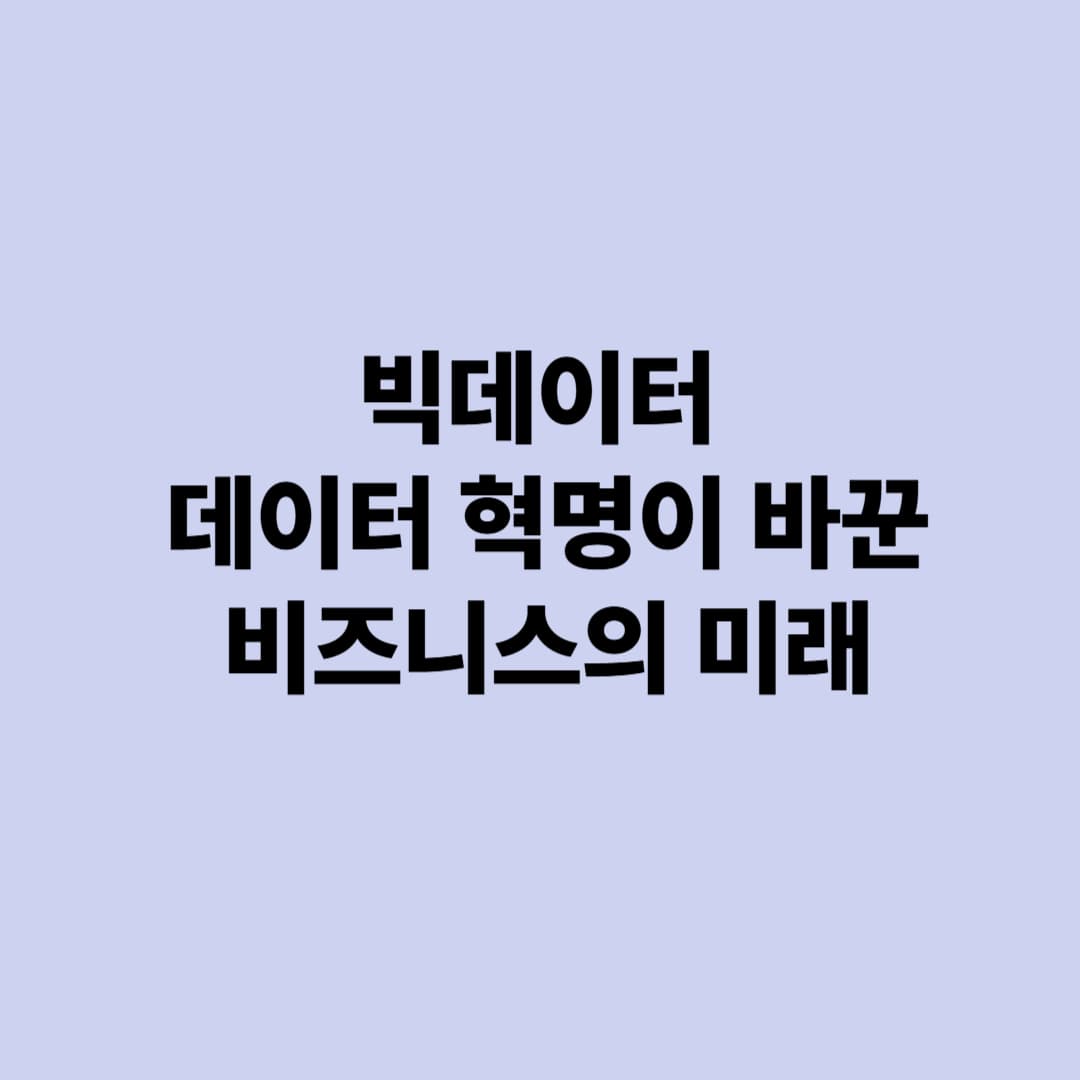 빅데이터: 데이터 혁명이 바꾼 비즈니스의 미래