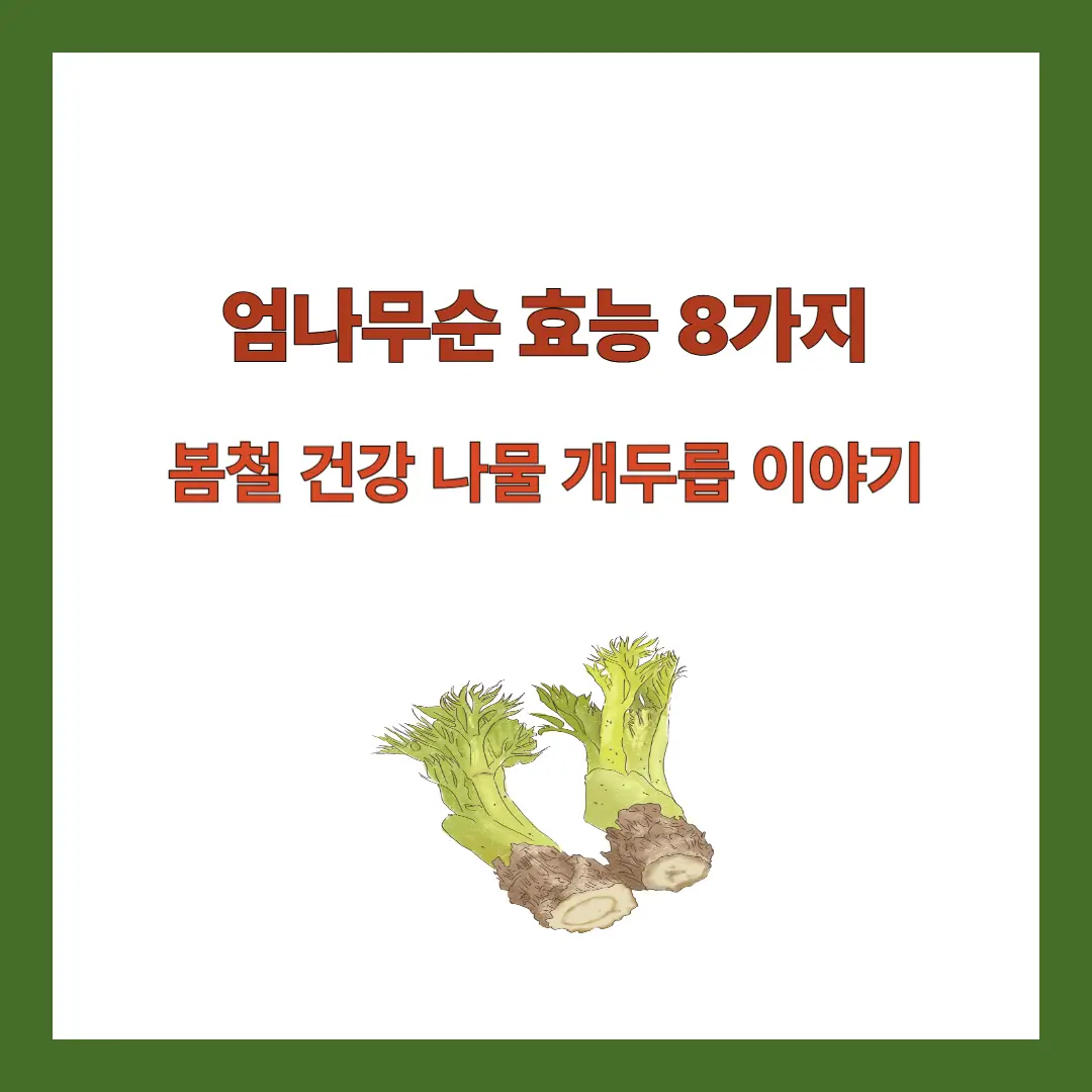 엄나무순-효능