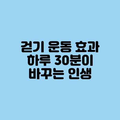 걷기 운동 효과 하루 30분이 바꾸는 인생